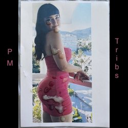 PMTribs's avatar