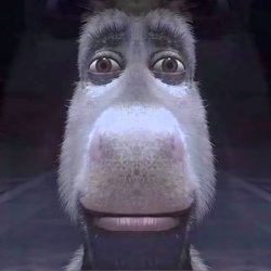 BurroDoShrek's avatar