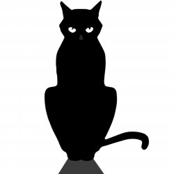 Suspicious_Cat's avatar