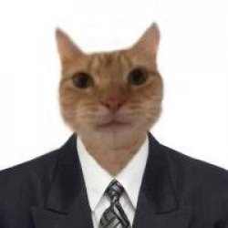 gatodeterno's avatar