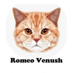 Avatar di RomeoVenush