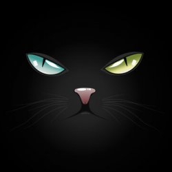 blackcat148s avatar