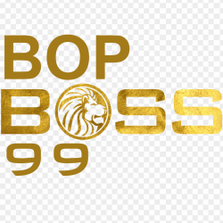 bopper99's avatar