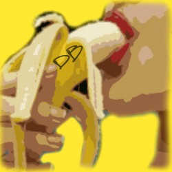 dashboardbananas's avatar