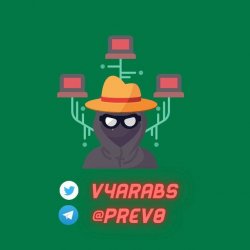 v4arabss's avatar