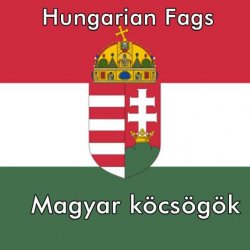 HungFagsExposed's avatar
