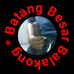 BatangBesarBalakong's avatar