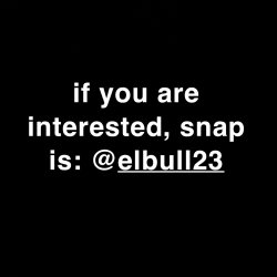 elbull23's avatar